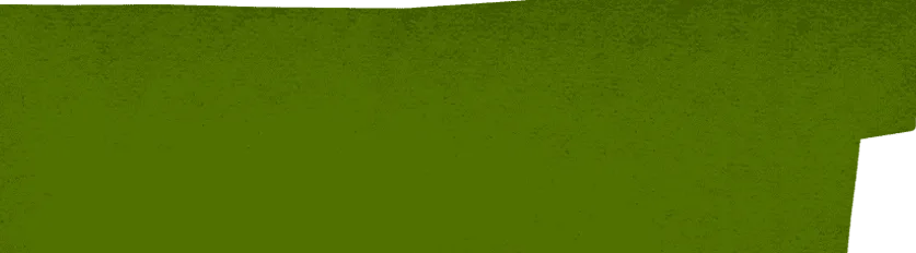 Background Shape